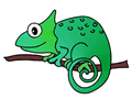 chamäleon