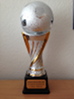 fussball pokal